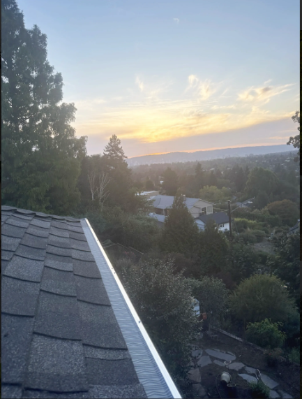 Vic's Gutter Filters Image